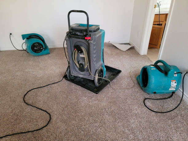 Best Flooded house restoration  in Richland, PA