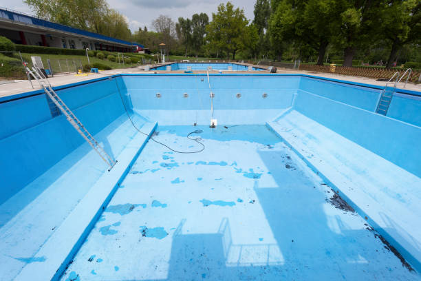 Best Mold removal after water damage  in Richland, PA