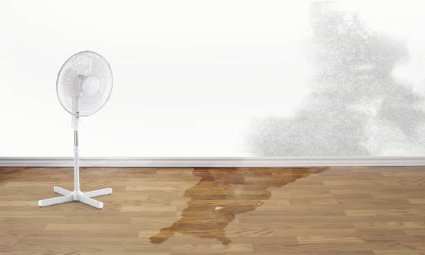 Best Ceiling water damage repair  in Richland, PA