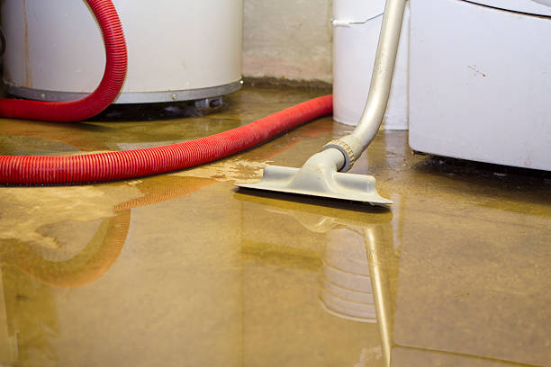 Best Local water damage restoration  in Richland, PA