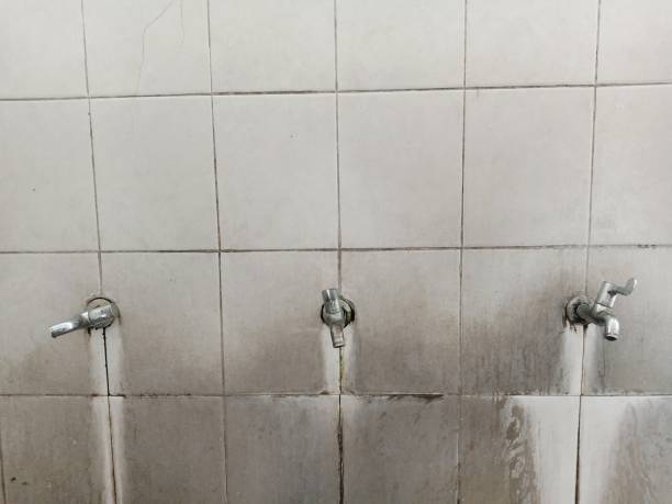 Best Ceiling water damage repair  in Richland, PA