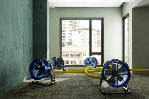Trusted Richland, PA Water damage restoration Experts
